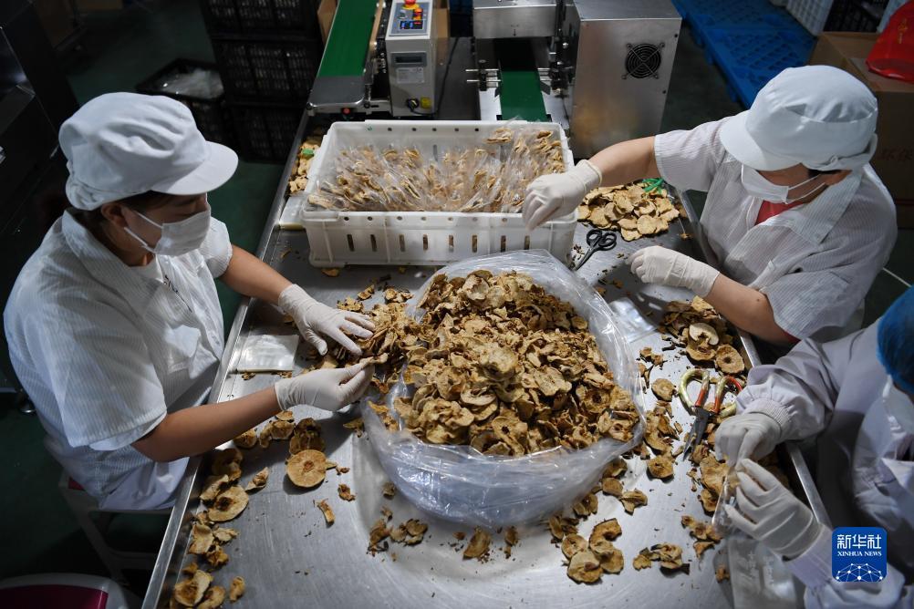 威尼斯商人网站网站